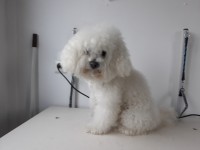 /album/fotogalerie/a20200311-161702-jpg/