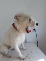 /album/fotogalerie/a20200313-100721-jpg/